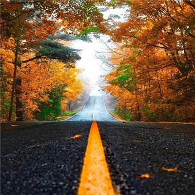 南宫ngpc28注册截图