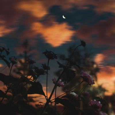 welcome 彩神8的最新网址