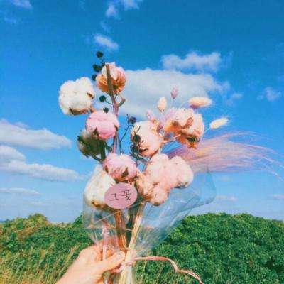 丰禾棋牌app下载